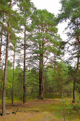 Similar image 1664843