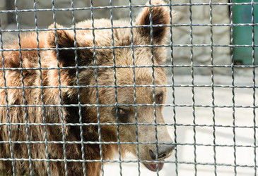 Similar image 1664876