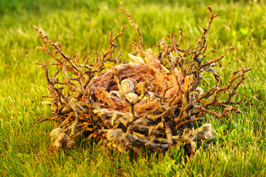 Similar image 1664988