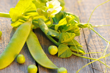 Similar image 1664992