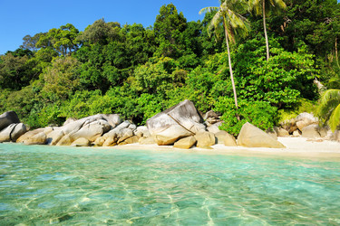 Similar image 1665039