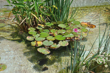 Similar image 1665318