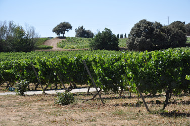 Similar image 1665333