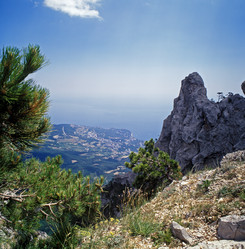 Similar image 1665458