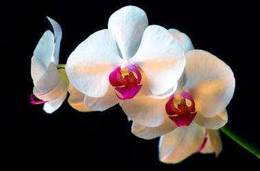 Similar image 1665460