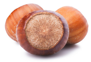 Similar image 1665462