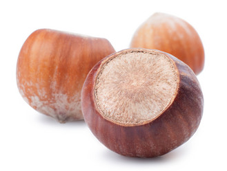 Similar image 1665463