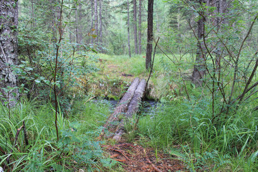 Similar image 1665469