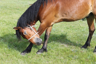 Similar image 1665470