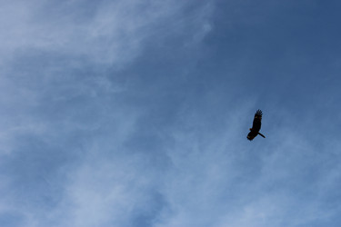 Similar image 1665471