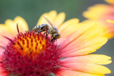 Similar image 1665484