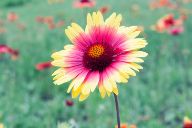 Similar image 1665486