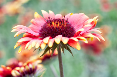 Similar image 1665487