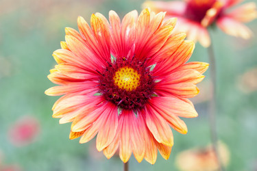 Similar image 1665489