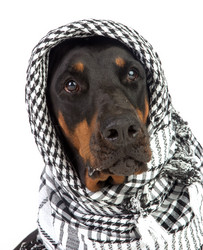 Similar image 1665503