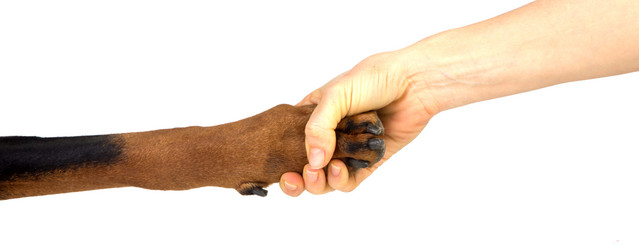 Similar image 1665514