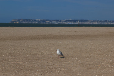 Similar image 1665832