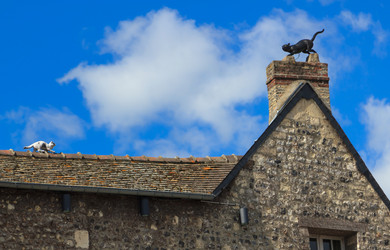 Similar image 1665912