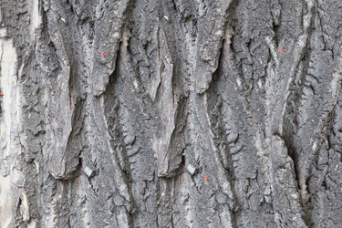 Similar image 1665931