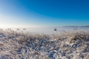 Similar image 1665964