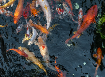 Similar image 1666105