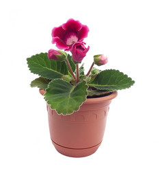 Similar image 1666188