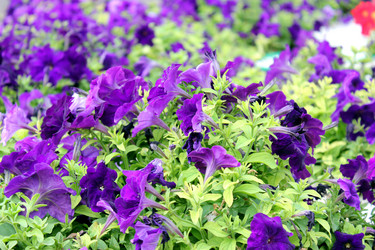 Similar image 1666189