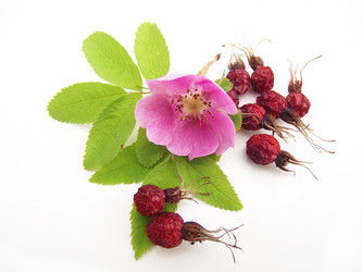 Similar image 1666190