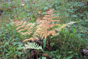 Similar image 1666191