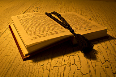 Similar image 1666231