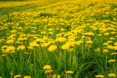 Similar image 1666264