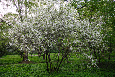 Similar image 1666265