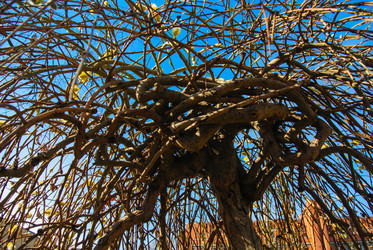 Similar image 1666268