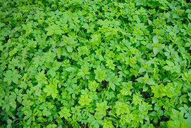 Similar image 1666272