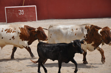 Similar image 1666301