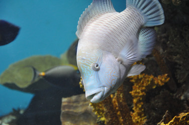 Similar image 1666303