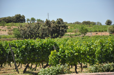 Similar image 1666304