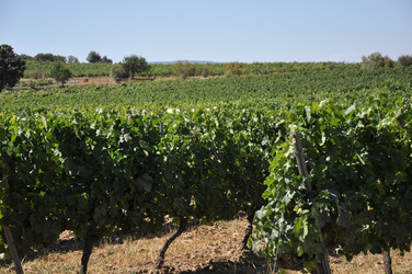 Similar image 1666307