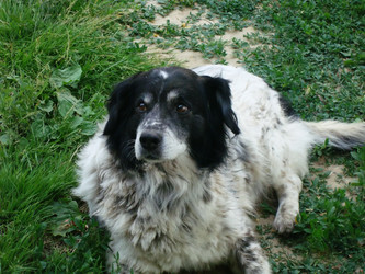 Similar image 1666312