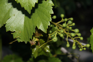 Similar image 1666324