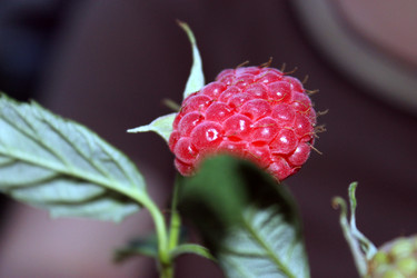 Similar image 1666325