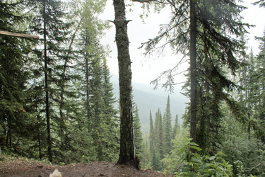 Similar image 1666326