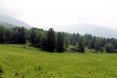 Similar image 1666332