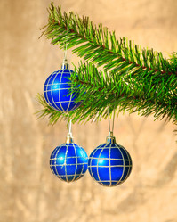 Similar image 1666368