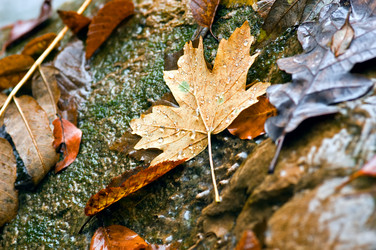 Similar image 1666394