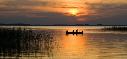 Similar image 1666405