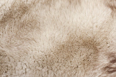 Similar image 1666471