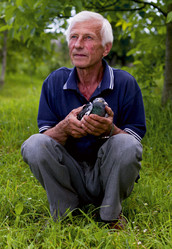 Similar image 1666472