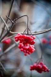 Similar image 1666473