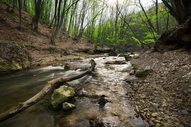 Similar image 1666520